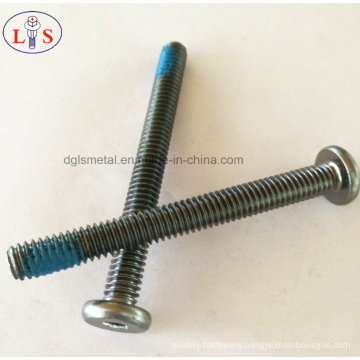 Flat Head Hexagon Socket Screw with Nylok / Pan Head Bolt